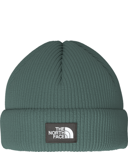 The North Face Salty Lined Beanie