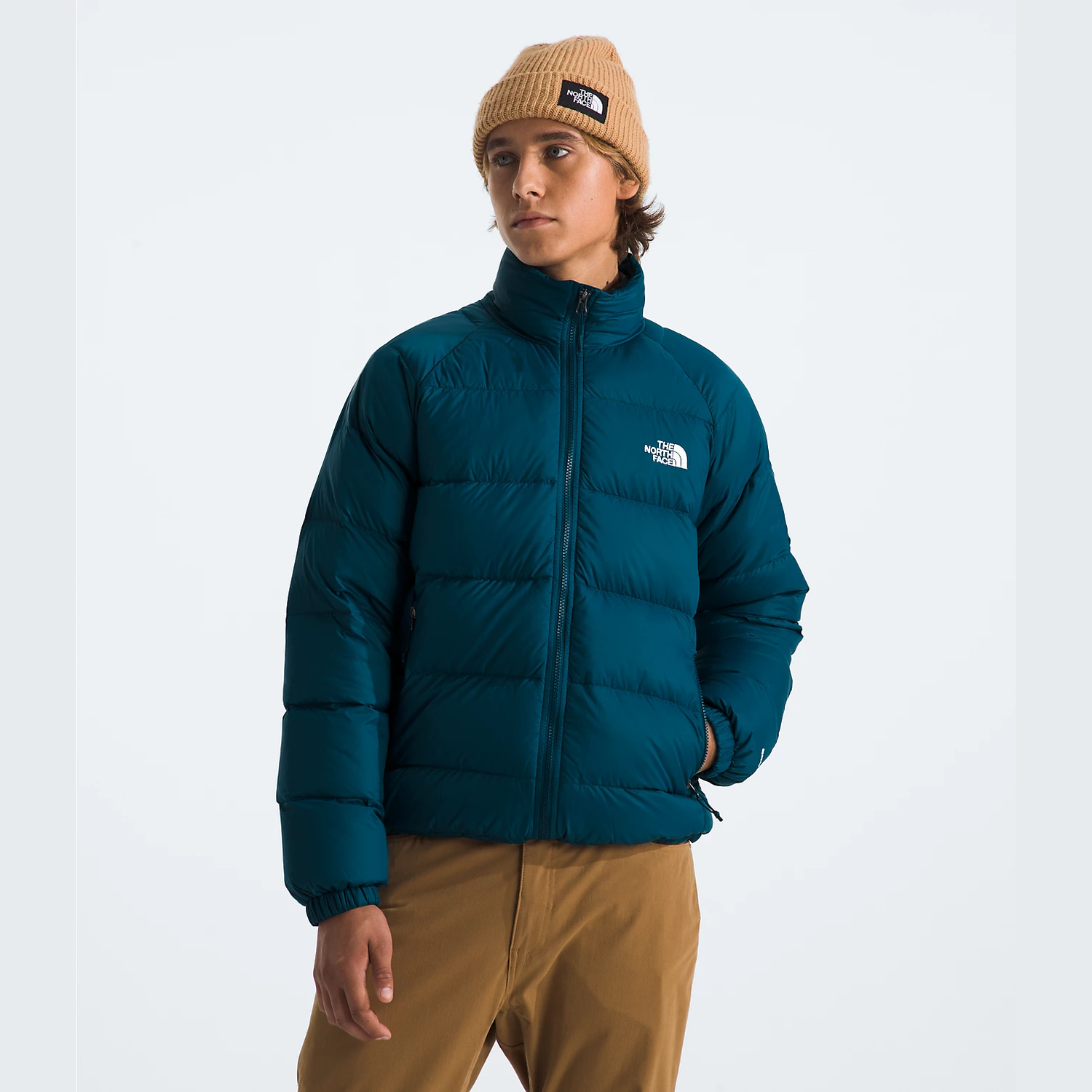 North face jacket down mens best sale