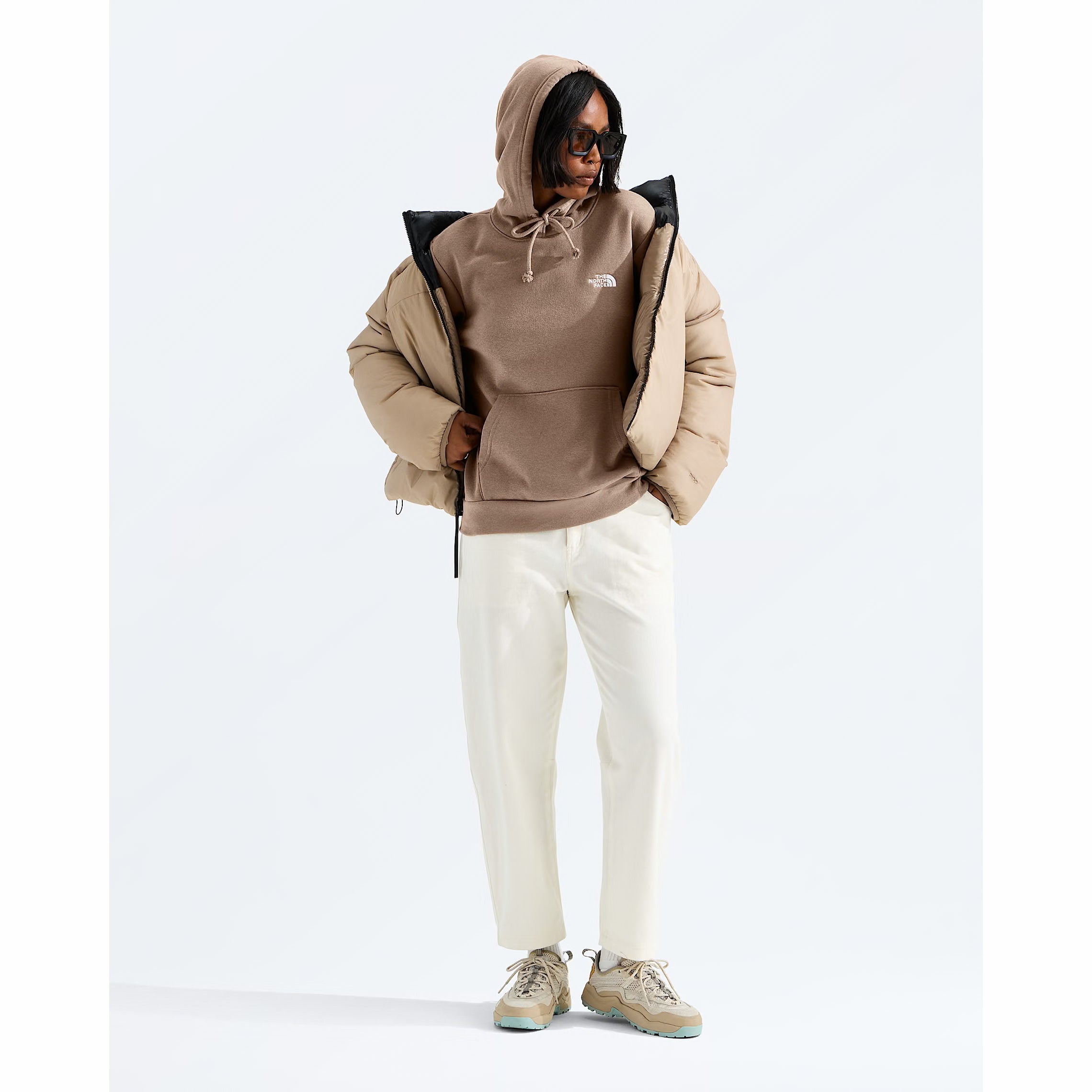 The North Face Women’s Evolution Simple Dome Regular Hoodie