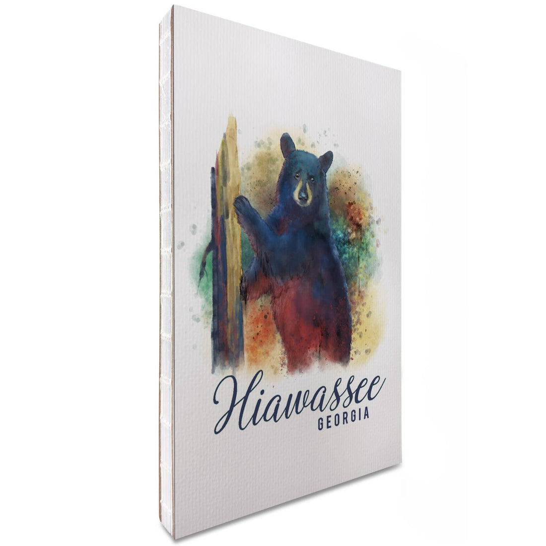 Hiawassee Black Bear Watercolor Premium Journal