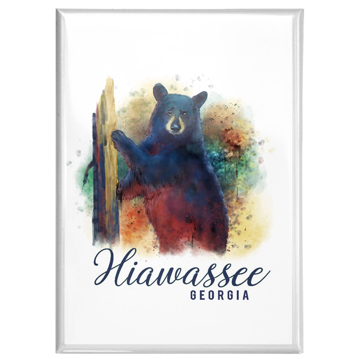 Hiawassee Georgia Bear Magnet