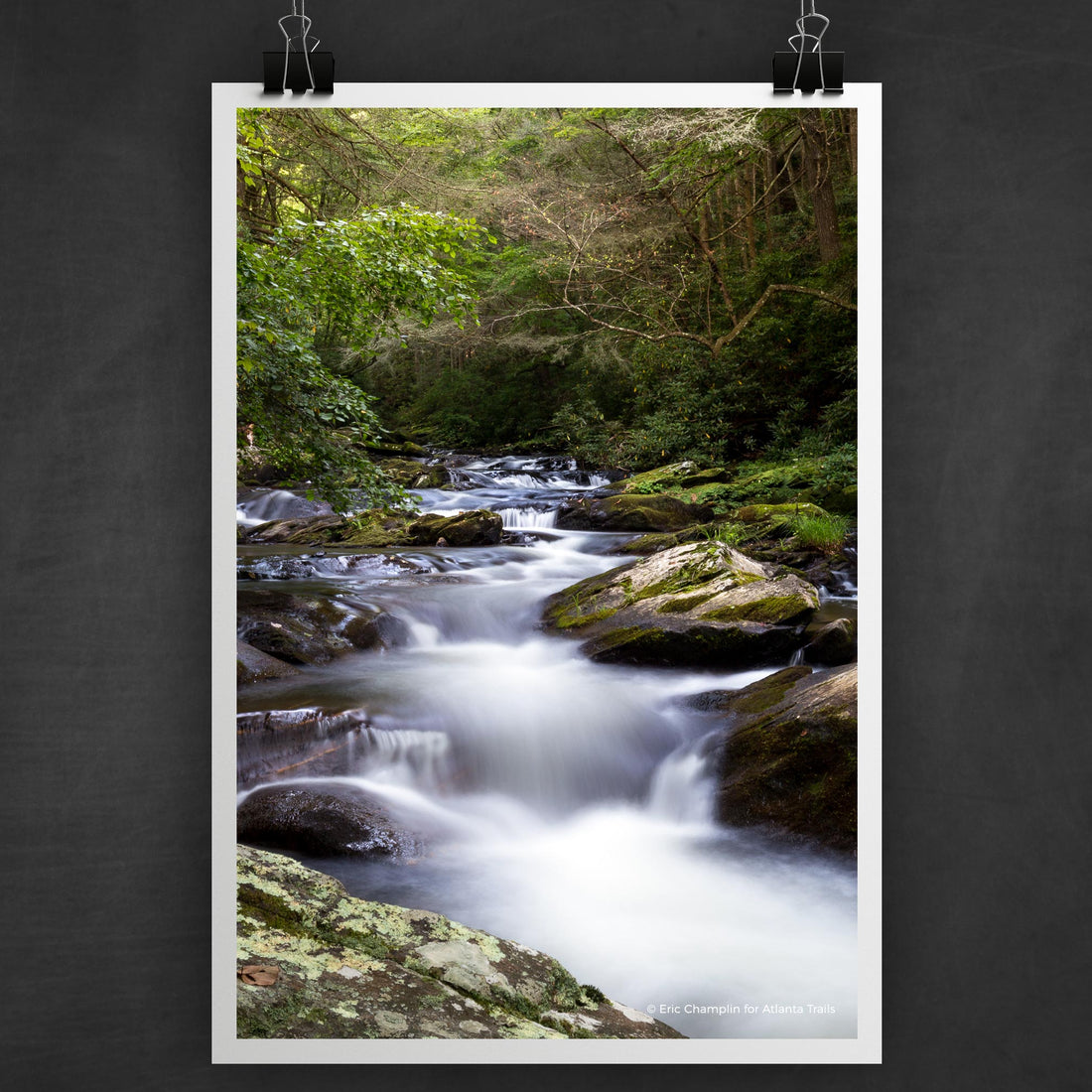 Jacks River Trail Photo Art Print