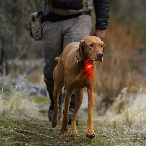 Ruffwear The Beacon Waterproof Light