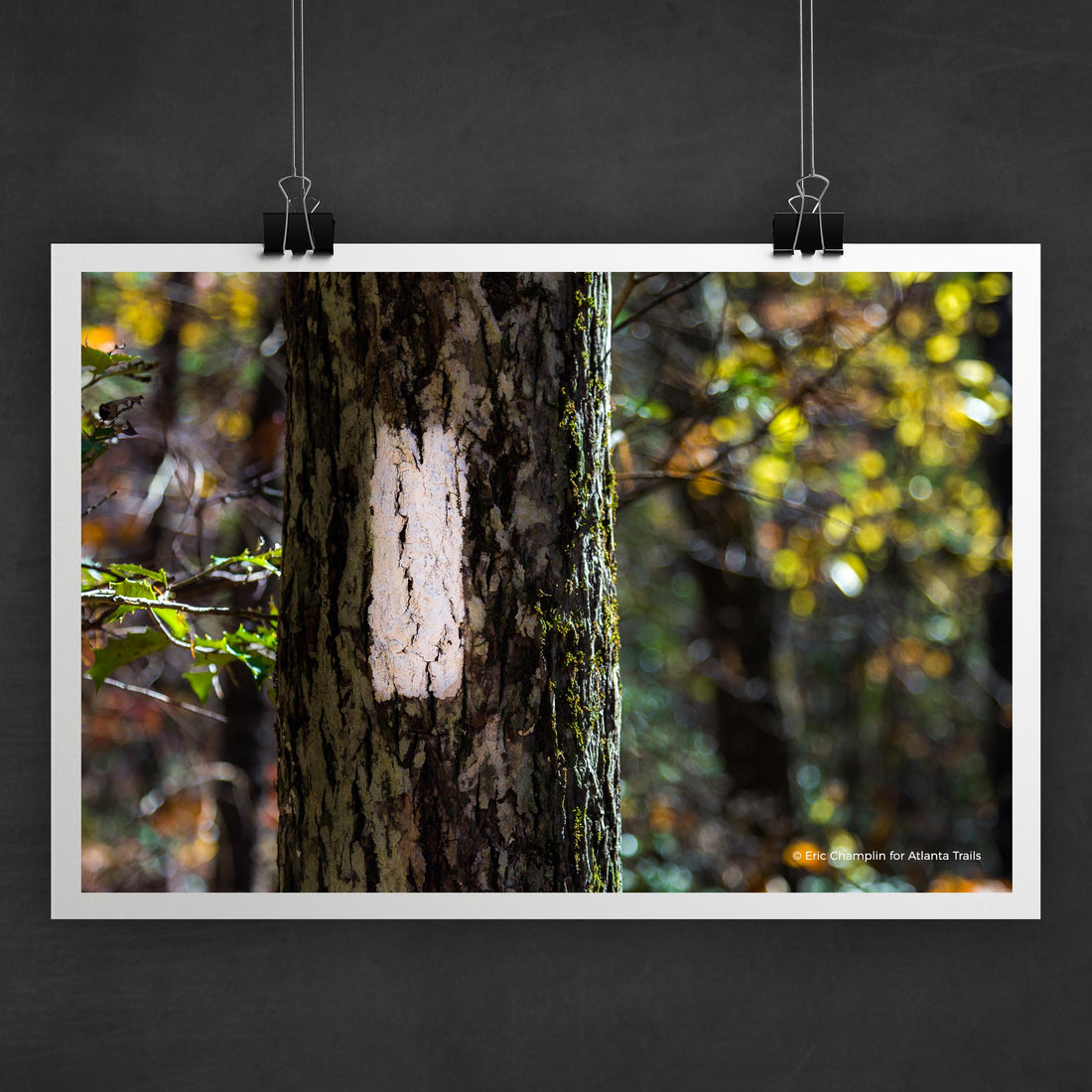 Appalachian Trail Blaze Photo Art Print