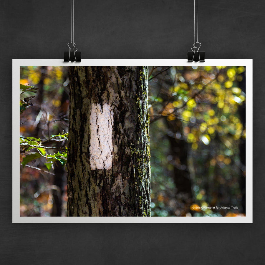 Appalachian Trail Blaze Photo Art Print